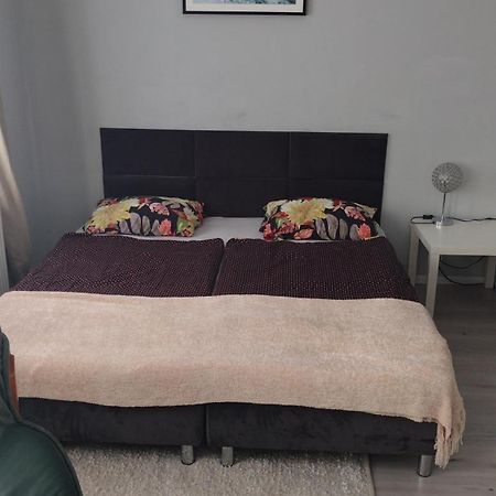 Apartament W Centrum 科沙林 外观 照片